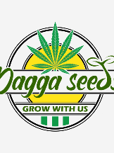 Dagga Seeds