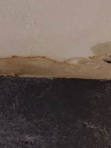 Yavapai County Water Damage Restoration