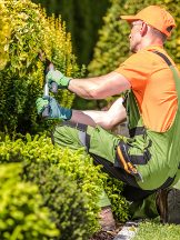 Forest Edge Tree Service