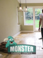 Monster Cleaning Chiswick