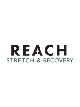 Reach Stretch & Recovery