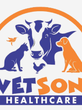 vetson healthcare