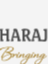 MAHARAJA JEWELERS