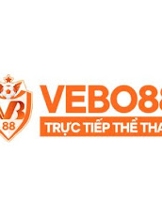 Vebo TV