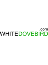 White Dove Bird