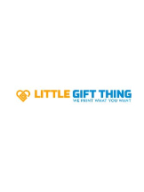 Littlegiftthing