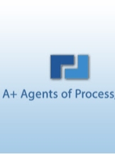 A+ Plus Agents of Process,Inc.