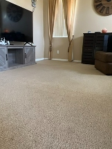 Zerorez Carpet Cleaning