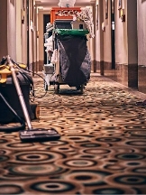 Dearborn Carpet Cleaning Pros