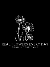 Real Flowers Every Day