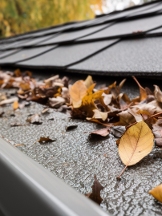 Reliable Gutter Cleaning Melbourne