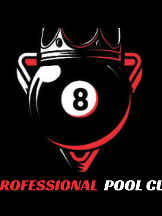 Professional Pool Cue