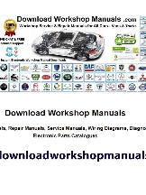 Workshop Manuals