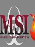 Mold Solutions & Inspections