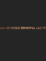 All US Mold Removal Las Vegas NV | Mold Remediation Services