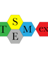 STEMex LTD