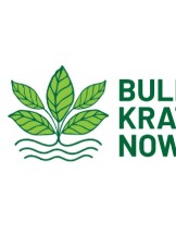 Bulk Kratom Now