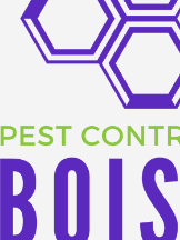 Pest Control Boise