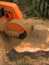 Stump Grinding Surrey Inc.