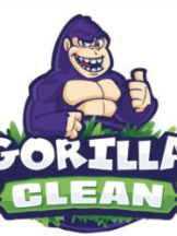 Gorilla Carpet Cleaning