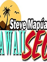 LinkHelpers Hawaii Web Design