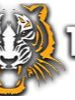 Tiger Electrical