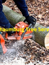 Schaumburg Tree Service