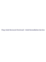 Fizzy Mold Removal Cincinnati - Mold Remediation Service