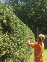 Tree Service Coquitlaam Inc.