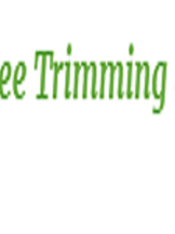 Arizona Tree Trimming And Removal Service