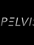 Pelvis NYC - Dr. Adam Gvili PT, DPT