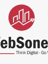 WebSonex - Digital Marketing Agency