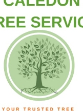 Caledon Tree Service