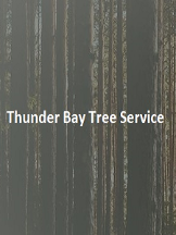 Thunder Bay Tree Service