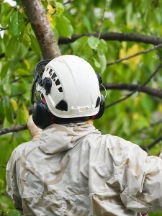 OC Tree Service Pros