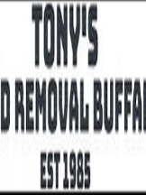 Tony’s Mold Removal Buffalo