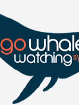 Go Whale Watching