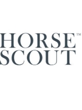 Horse Scout Design