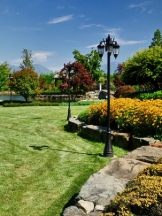 Transformation Landscaping