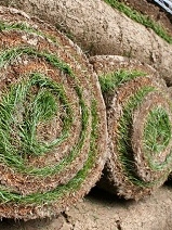 Brunswick Artificial Grass Company