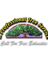 Professional Tree Service Lexington KY