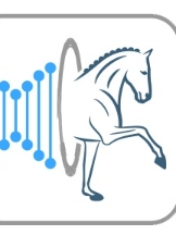 DataHorse