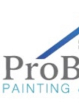 Pro Brush Painting And Remodeling