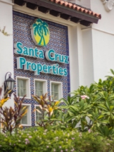 Santa Cruz Property