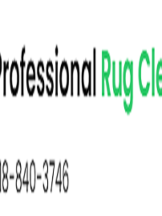 Professional Rug Cleaning