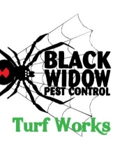 Black Widow Pest Control