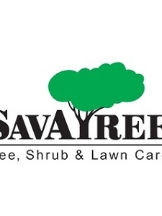 SavATree - Tree Service & Lawn Care