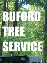 Buford Tree Service