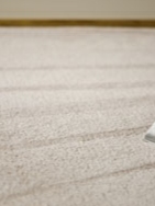 Connecticut Carpet Cleaning