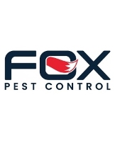 Fox Pest Control - Boston